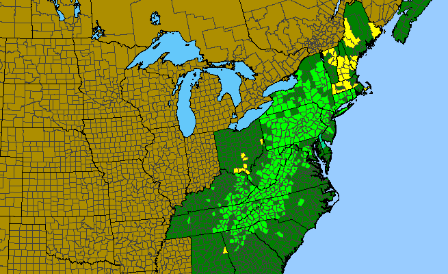 The range of Rhododendron maximum